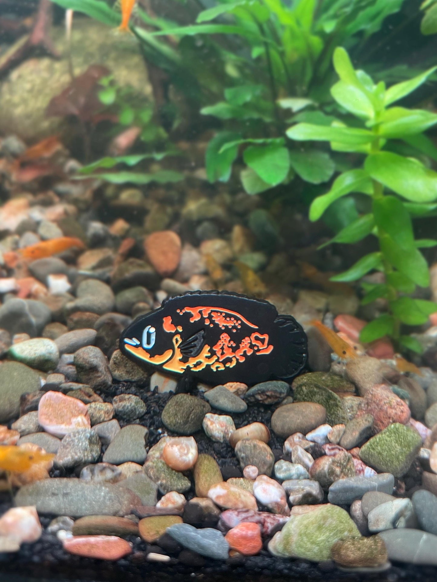 Oscar Cichlid Pin