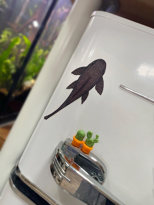 2 Clear Pleco Stickers