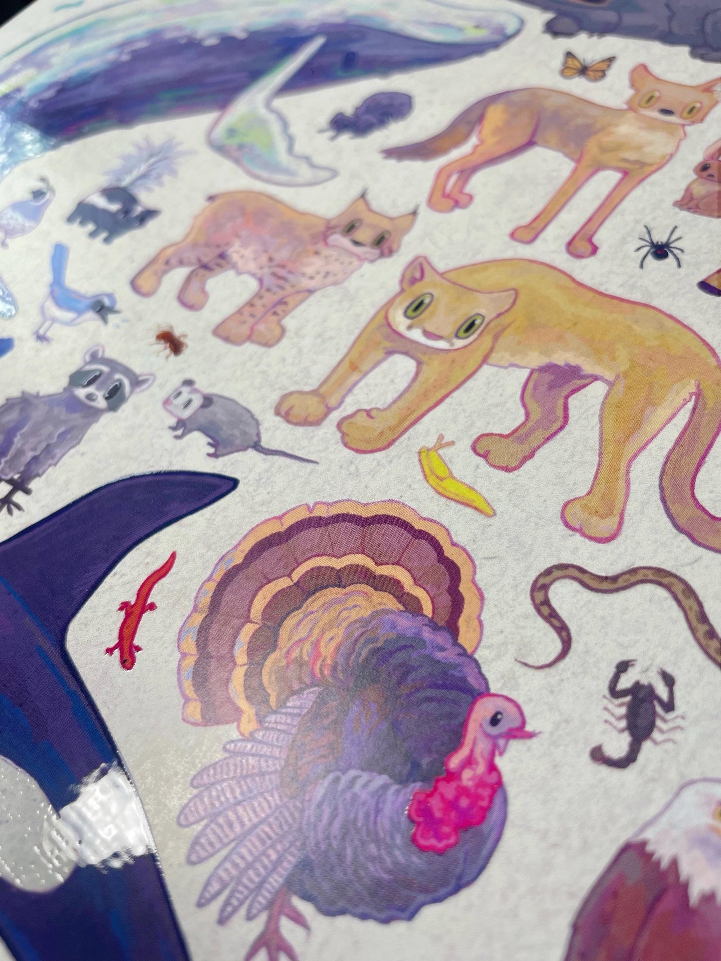 California Wildlife Poster 8.5x11