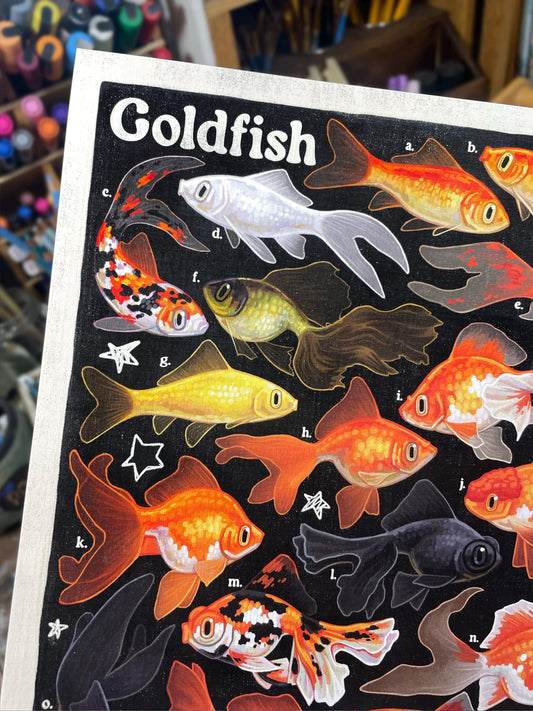 Goldfish Poster 8.5x11