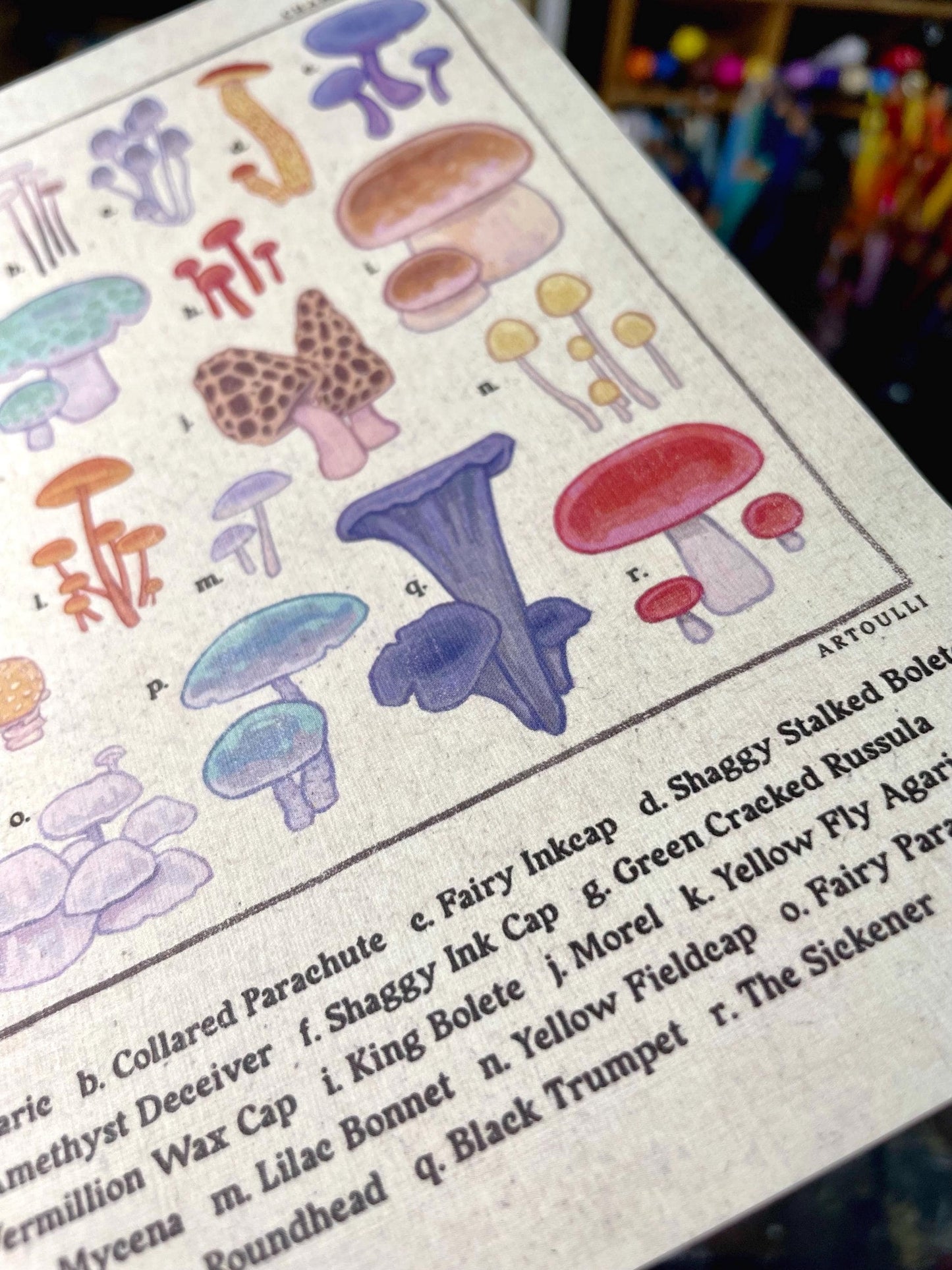 Mushroom Identification Guide