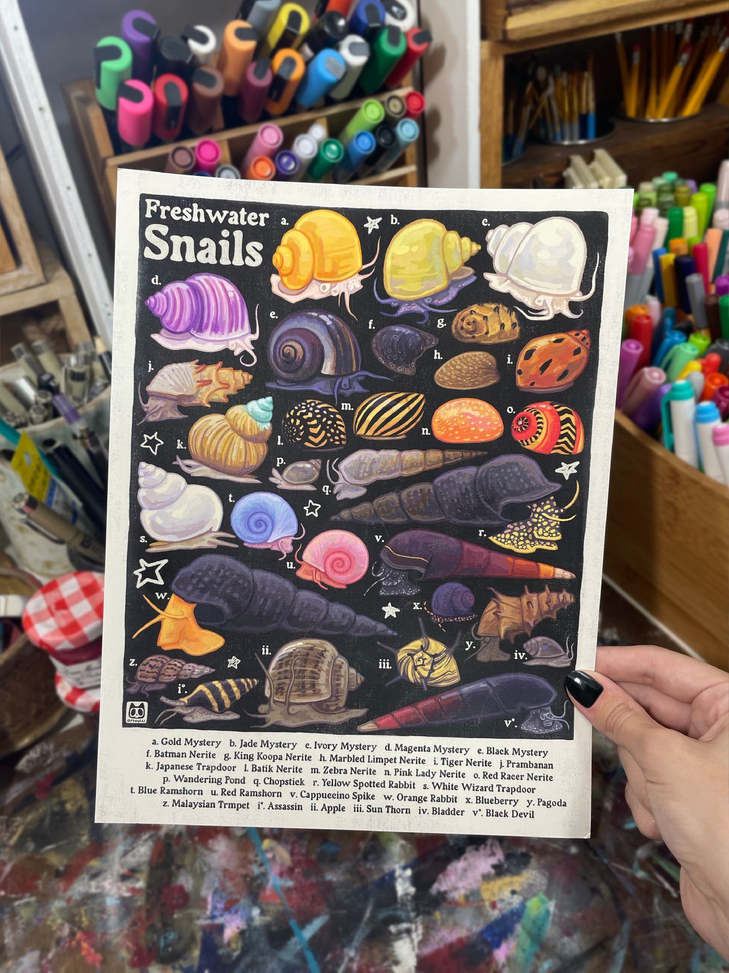 Freshwater Snails Poster 8.5x11