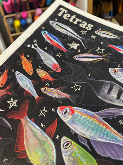 Tetra Poster 8.5x11