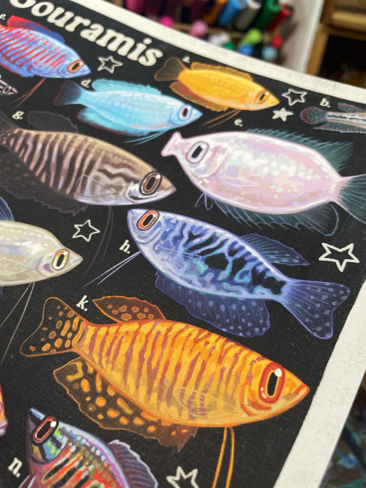 MULTIPACK Aquarium Posters 8.5x11