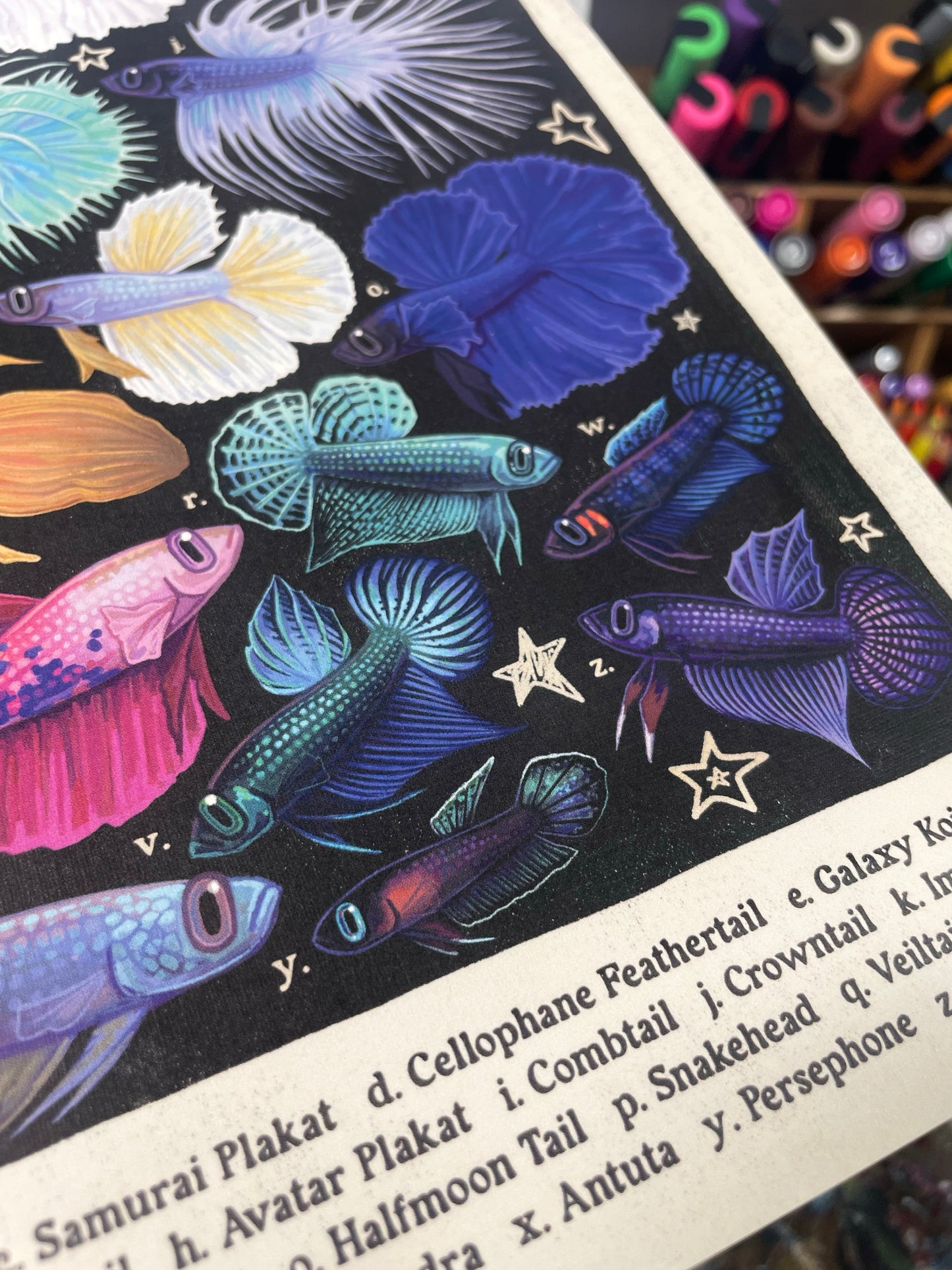 Betta Poster 8.5x11