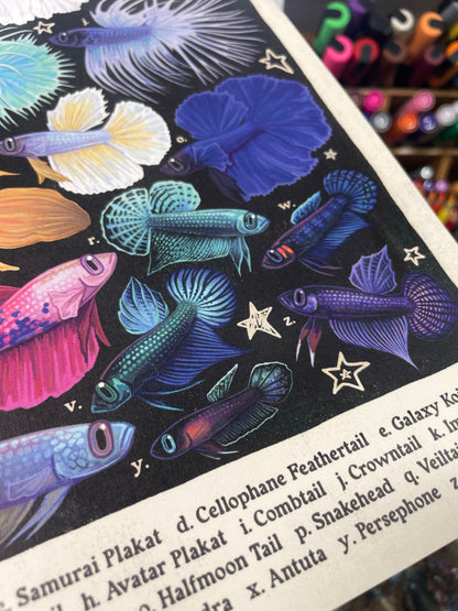 Betta Poster 8.5x11