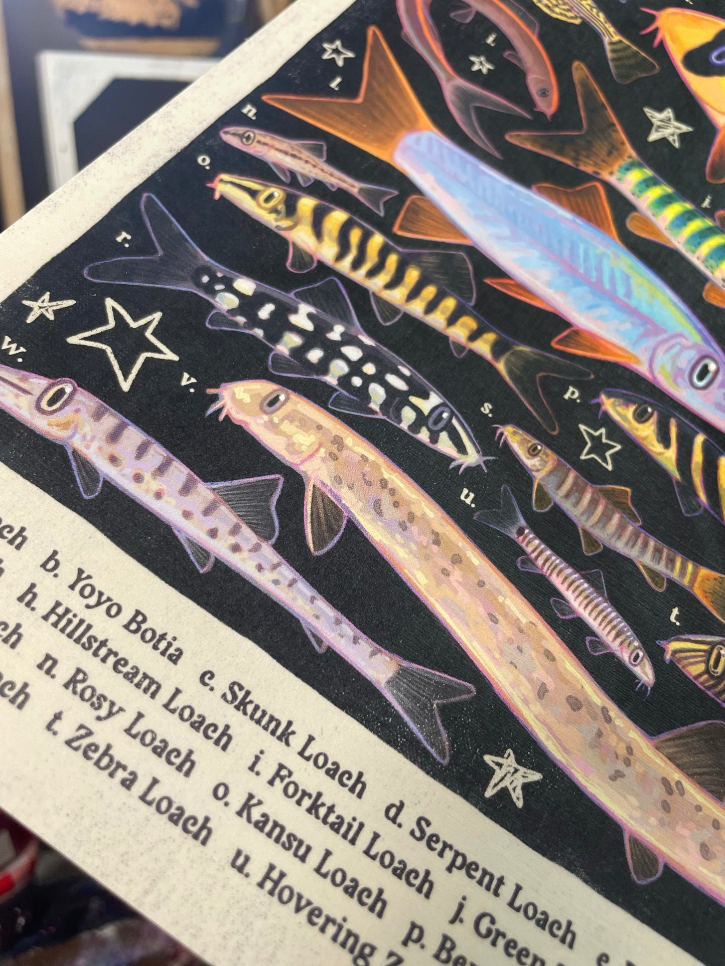 MULTIPACK Aquarium Posters 8.5x11