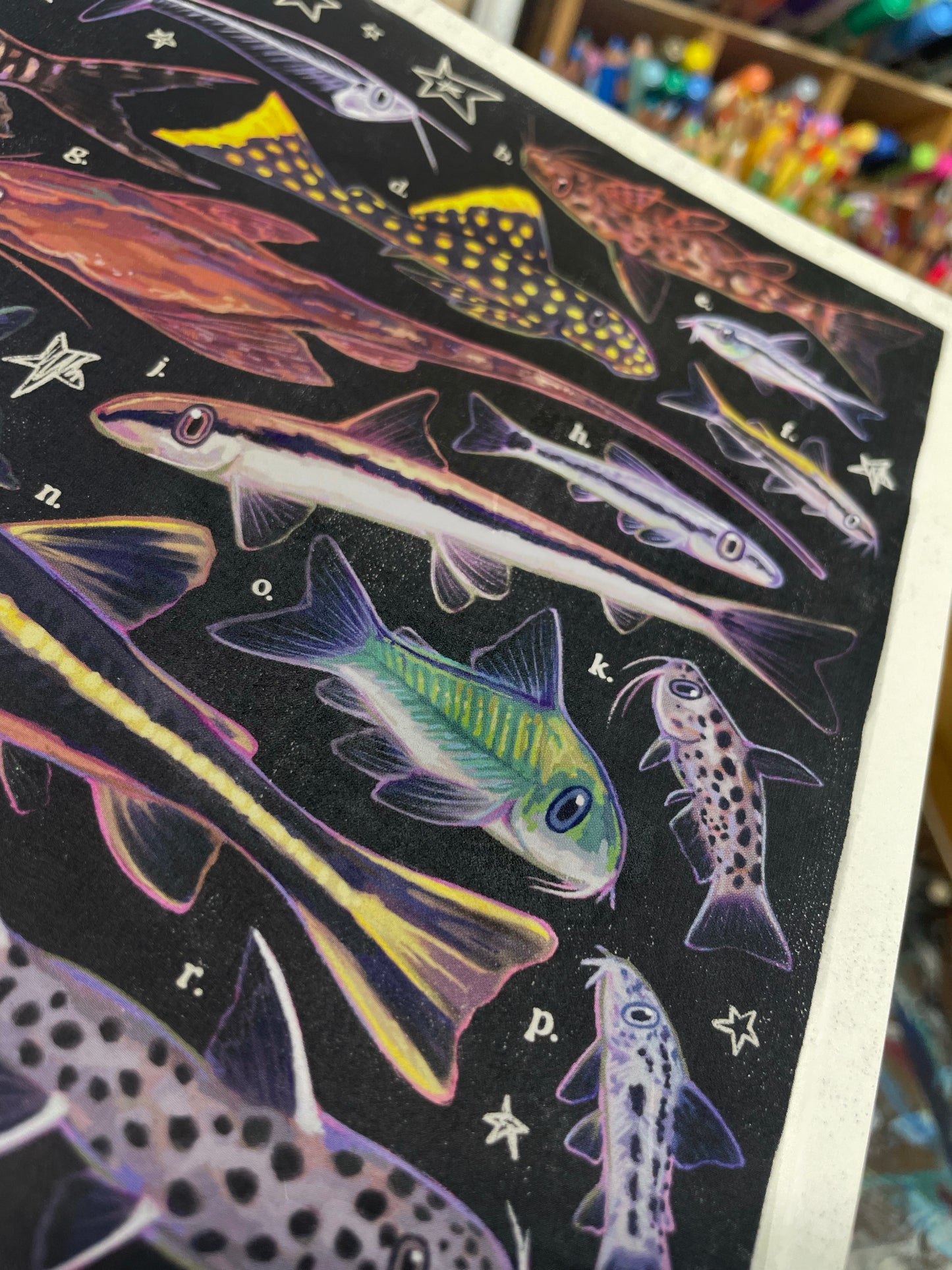 Catfish Poster 8.5x11