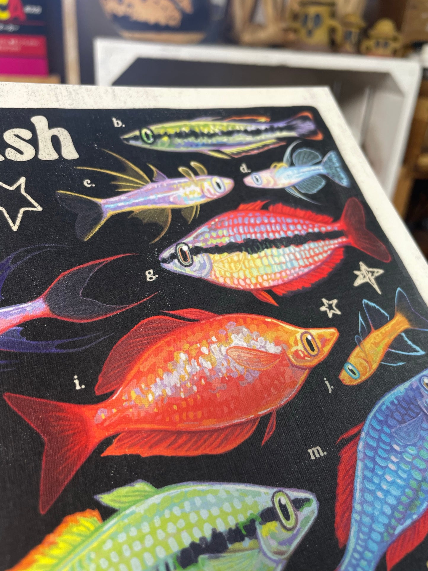 Rainbowfish Poster 8.5x11