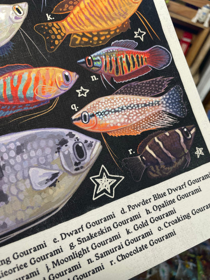 Gourami Poster 8.5x11
