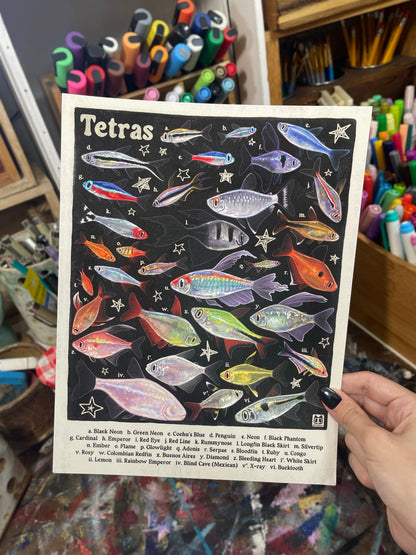 Tetra Poster 8.5x11