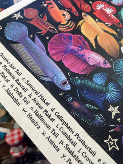 Betta Poster 8.5x11