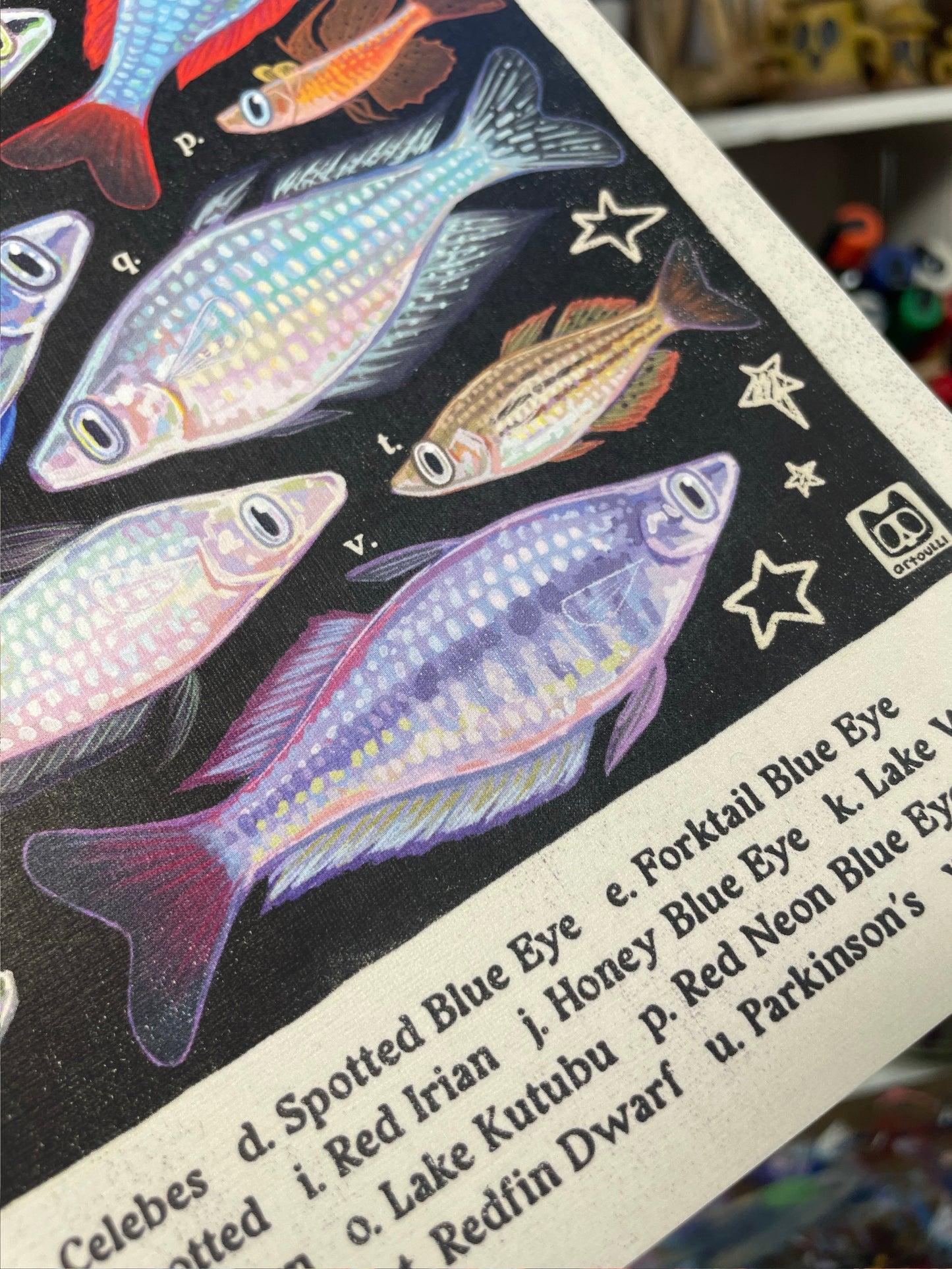 Rainbowfish Poster 8.5x11