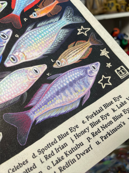 Rainbowfish Poster 8.5x11