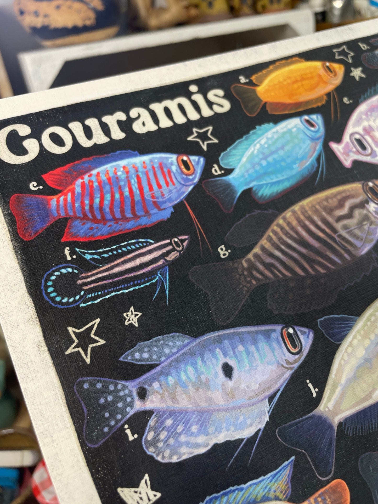 Gourami Poster 8.5x11
