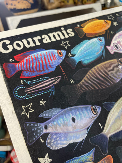 Gourami Poster 8.5x11