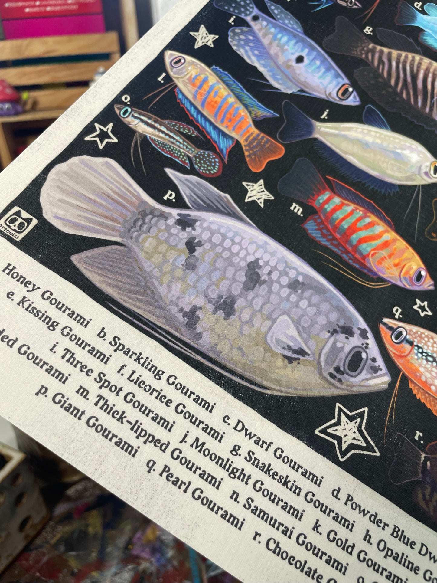 Gourami Poster 8.5x11