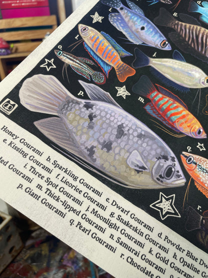 Gourami Poster 8.5x11