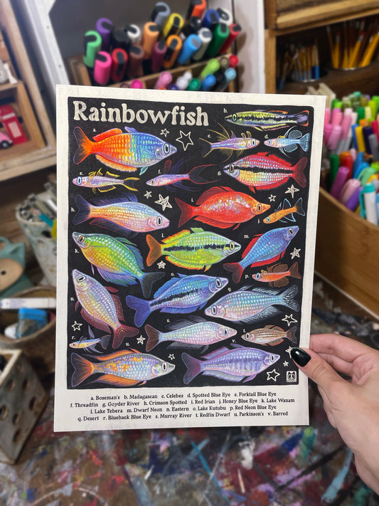 Rainbowfish Poster 8.5x11