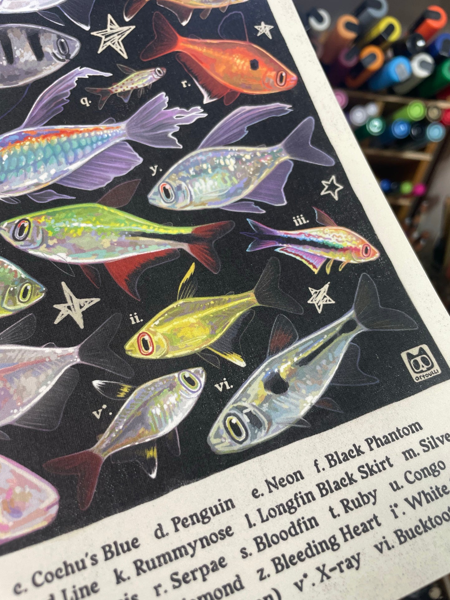 MULTIPACK Aquarium Posters 8.5x11