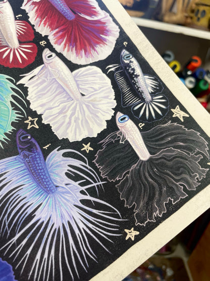 Betta Poster 8.5x11