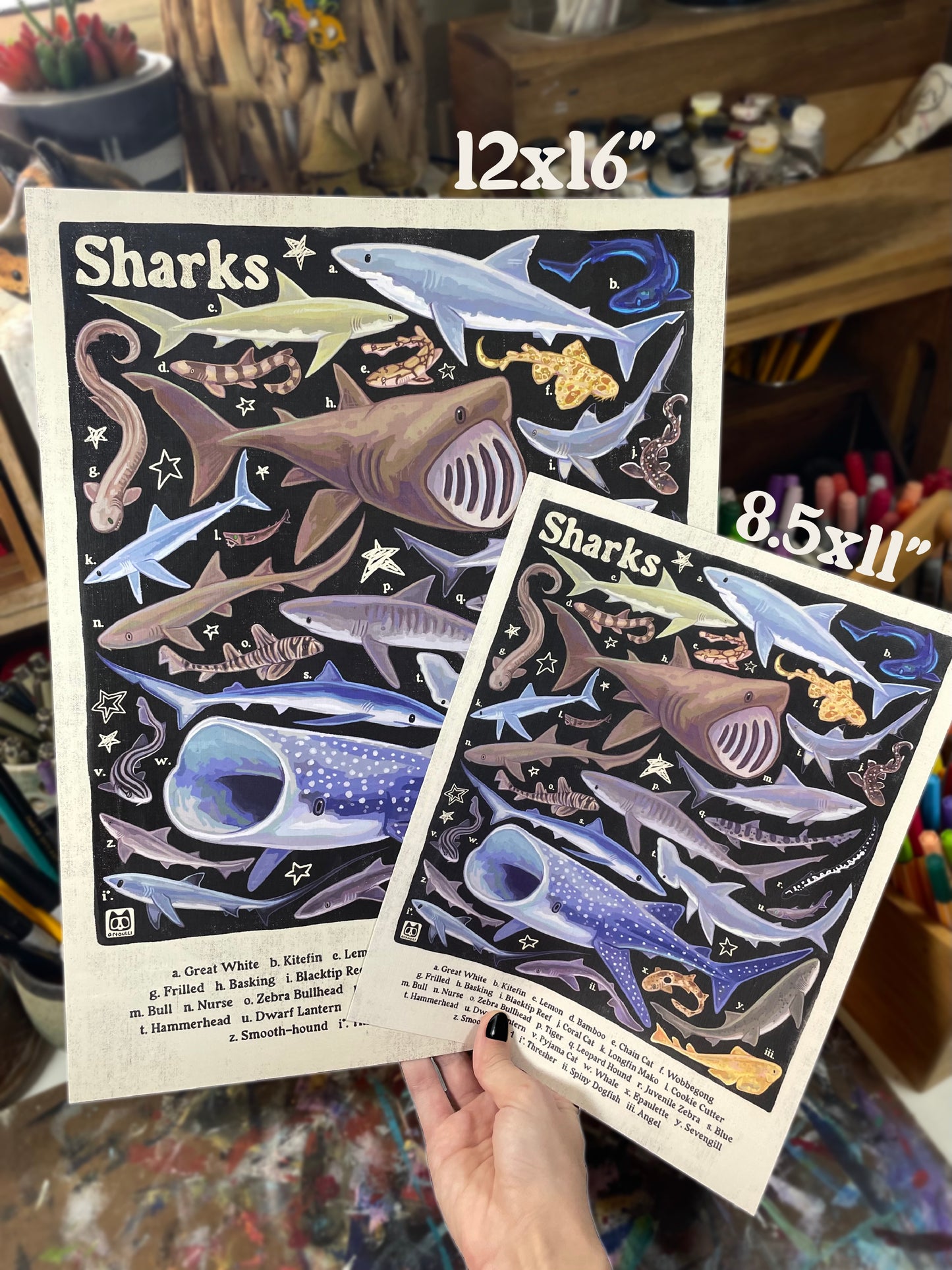 Shark ID Poster