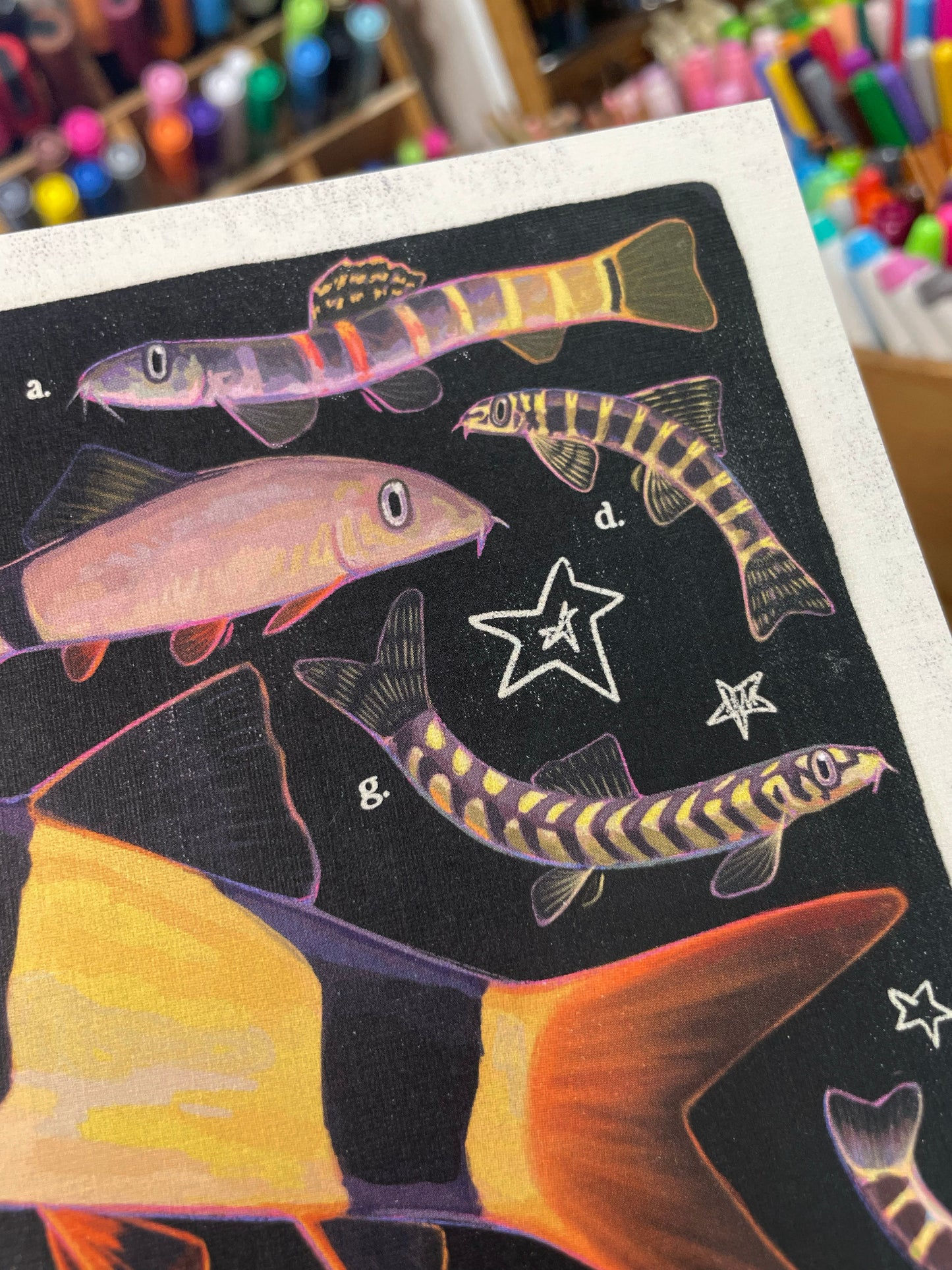 Loach Fish Poster 8.5x11