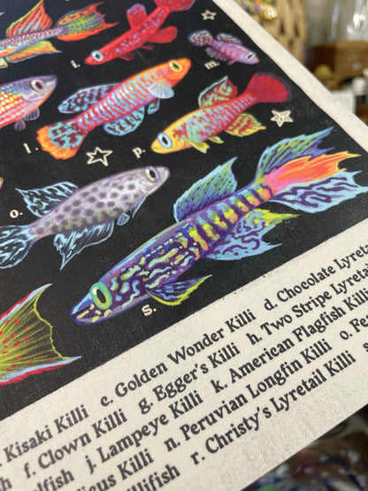 Killifish Poster 8.5x11
