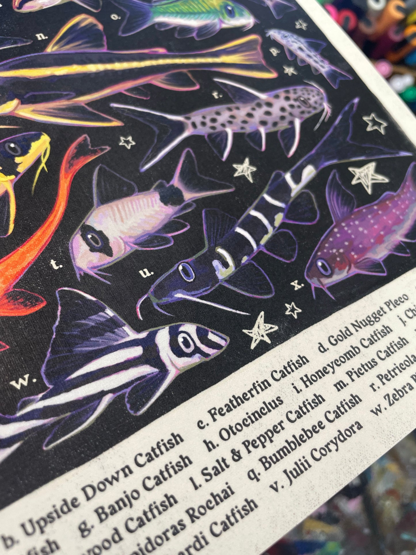 MULTIPACK Aquarium Posters 8.5x11