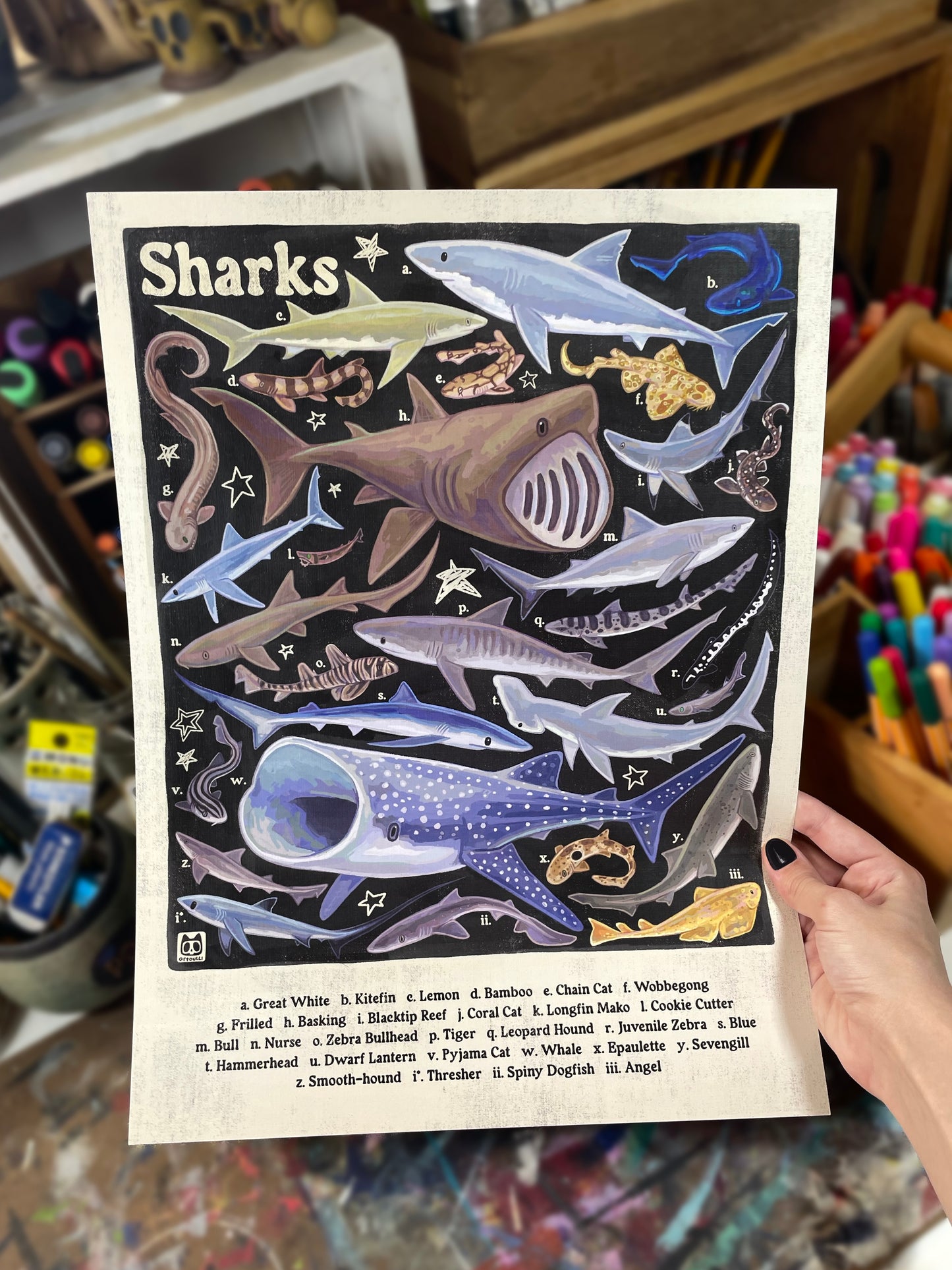 Shark ID Poster