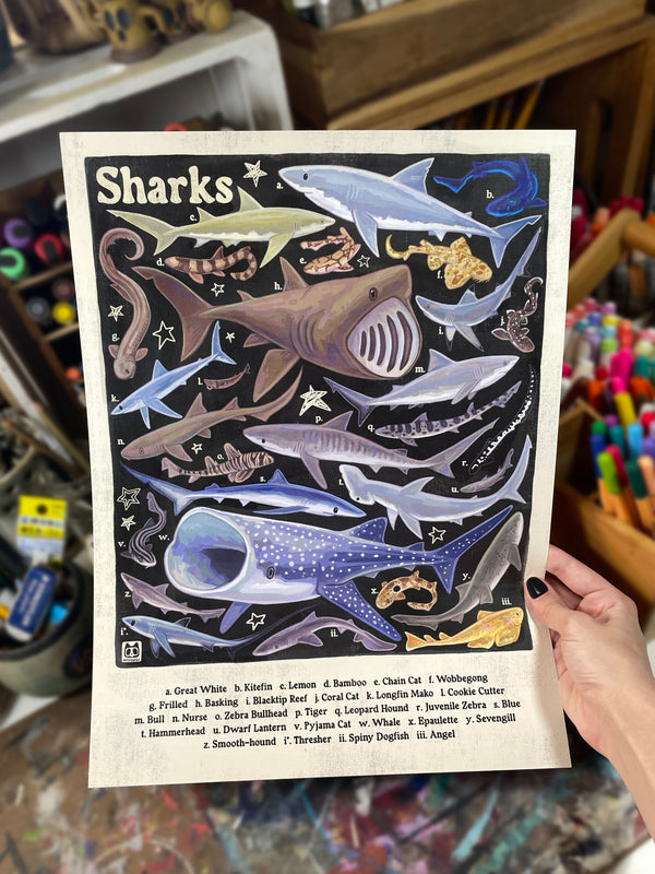 Shark ID Poster