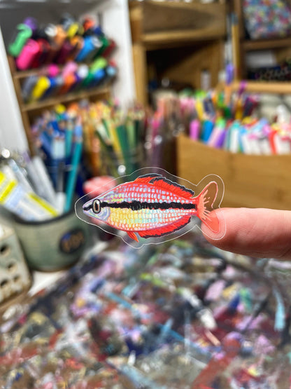 Rainbowfish Sticker Sheet