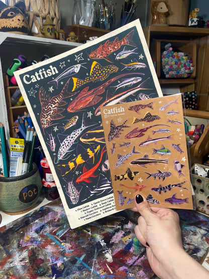 Catfish Poster 8.5x11