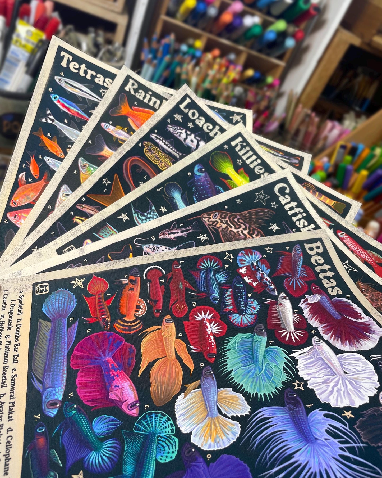 Gourami Poster 8.5x11