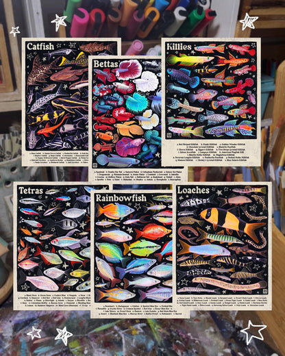 Killifish Poster 8.5x11