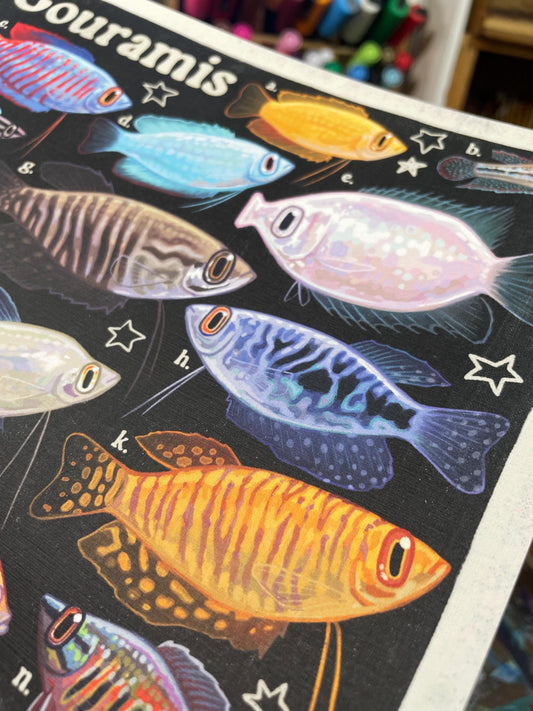Gourami Poster 8.5x11
