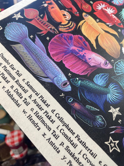 Betta Poster 8.5x11