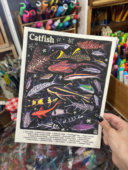 Catfish Poster 8.5x11