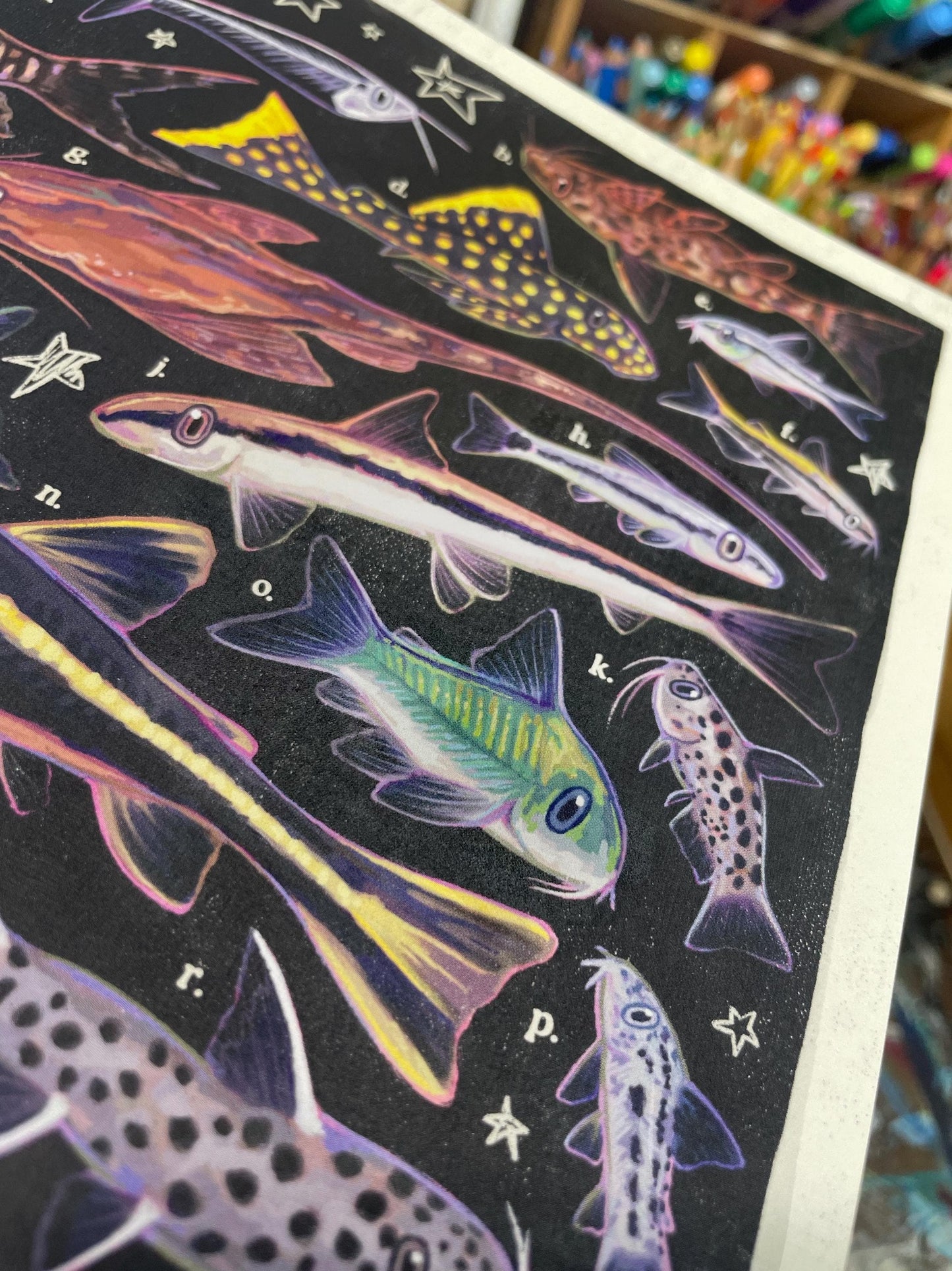 Catfish Poster 8.5x11