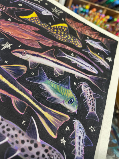 Catfish Poster 8.5x11