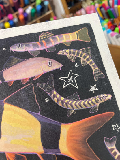 Loach Fish Poster 8.5x11