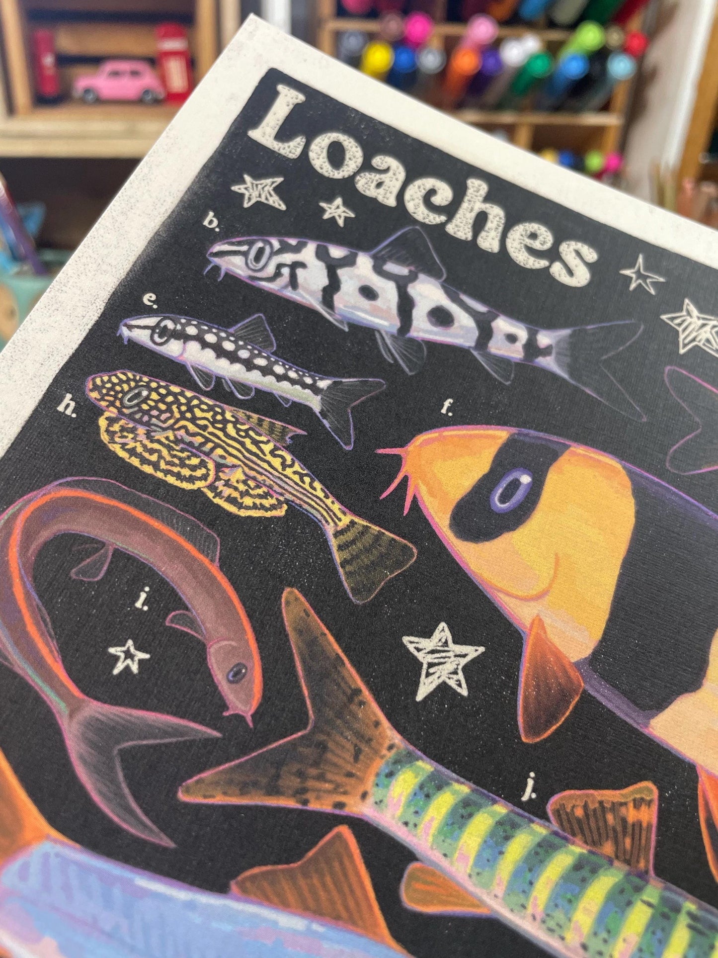 Loach Fish Poster 8.5x11