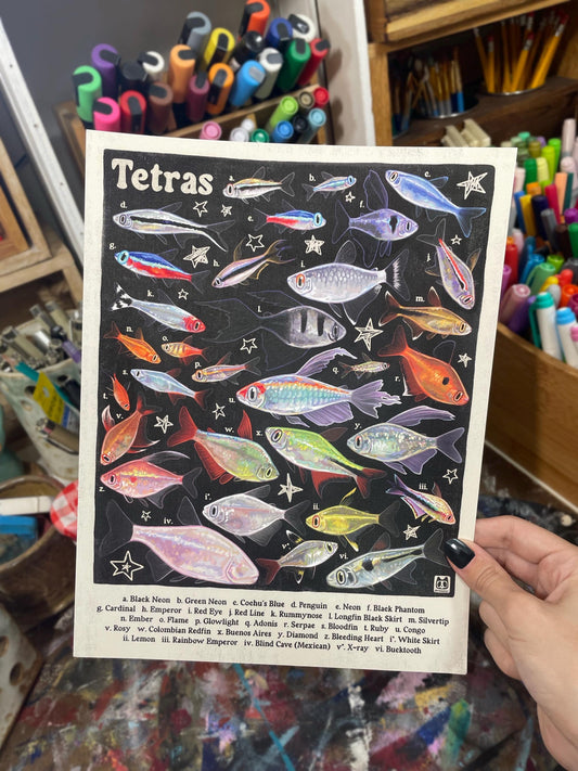 Tetra Poster 8.5x11