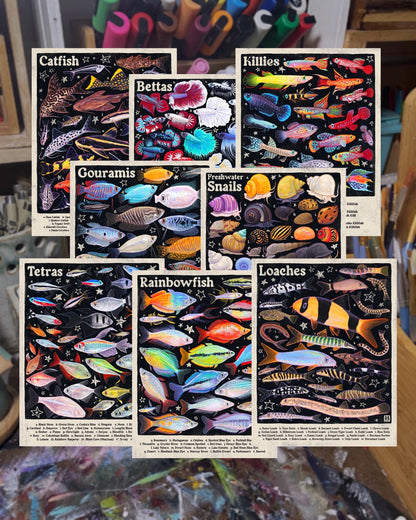 MULTI PACK Aquarium Fish Posters 8.5x11