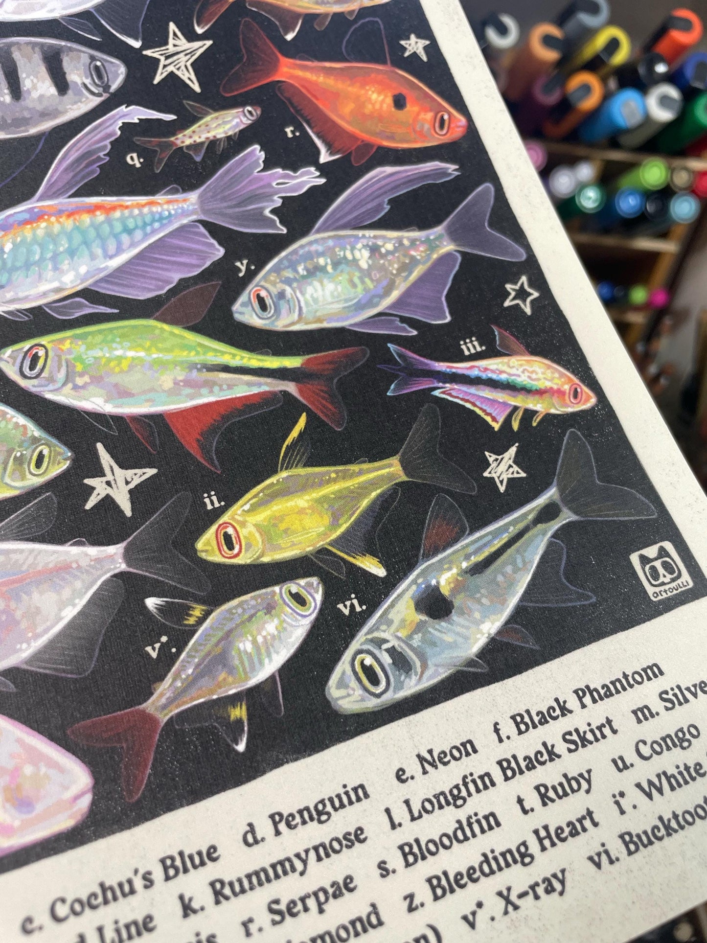 MULTI PACK Aquarium Fish Posters 8.5x11