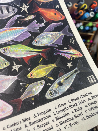 MULTI PACK Aquarium Fish Posters 8.5x11