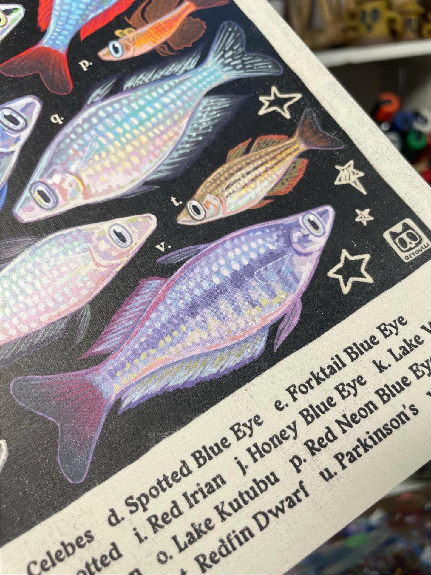 MULTI PACK Aquarium Fish Posters 8.5x11