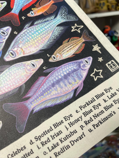 MULTI PACK Aquarium Fish Posters 8.5x11