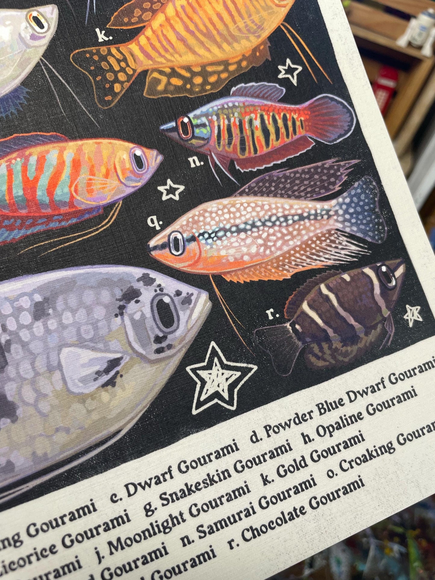 Gourami Poster 8.5x11