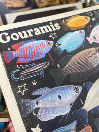 Gourami Poster 8.5x11